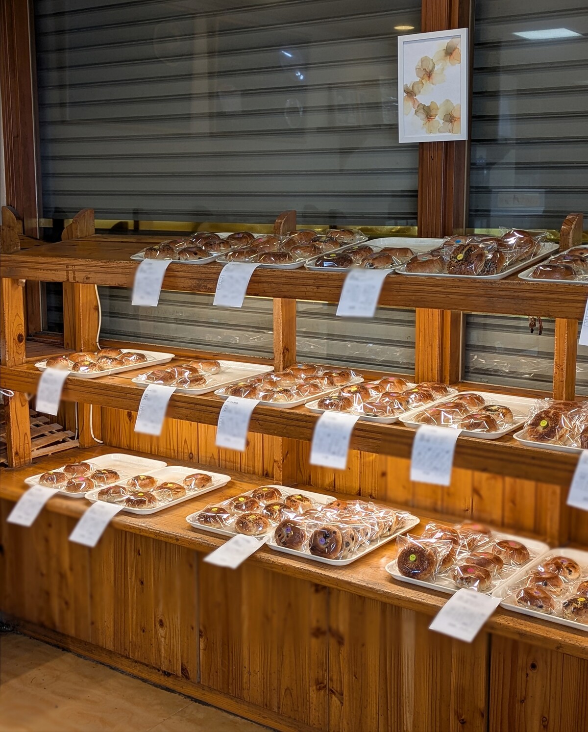 Polish_20260223_123941295