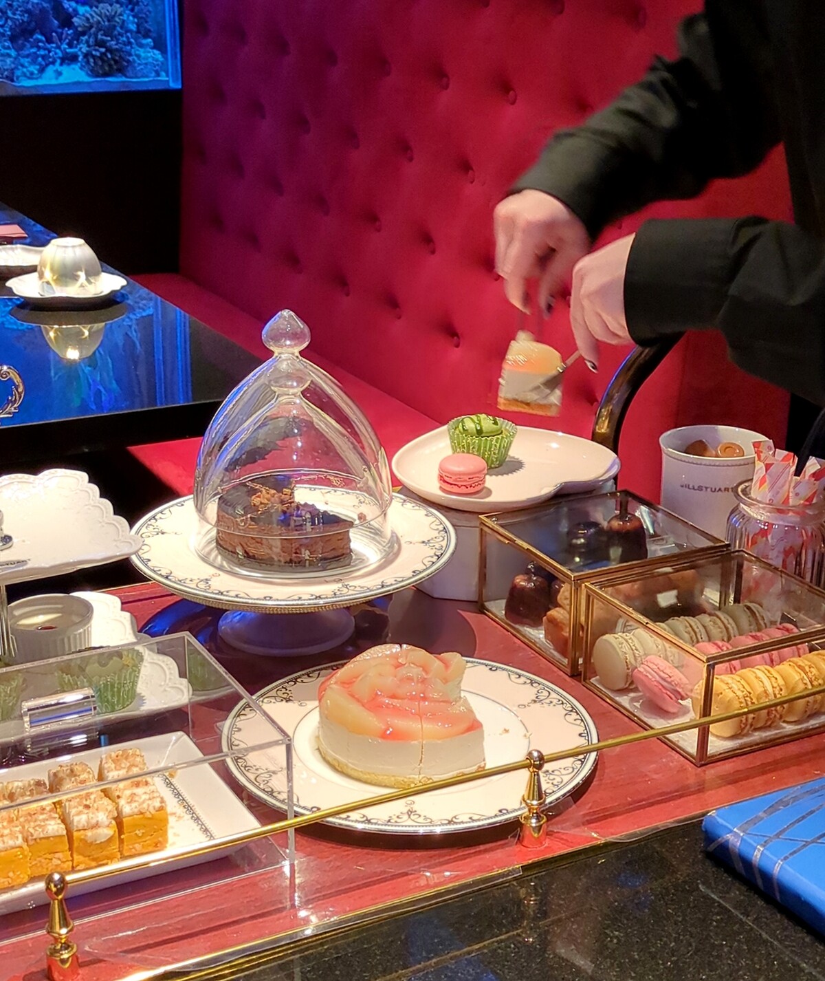 Polish_20260315_213134273