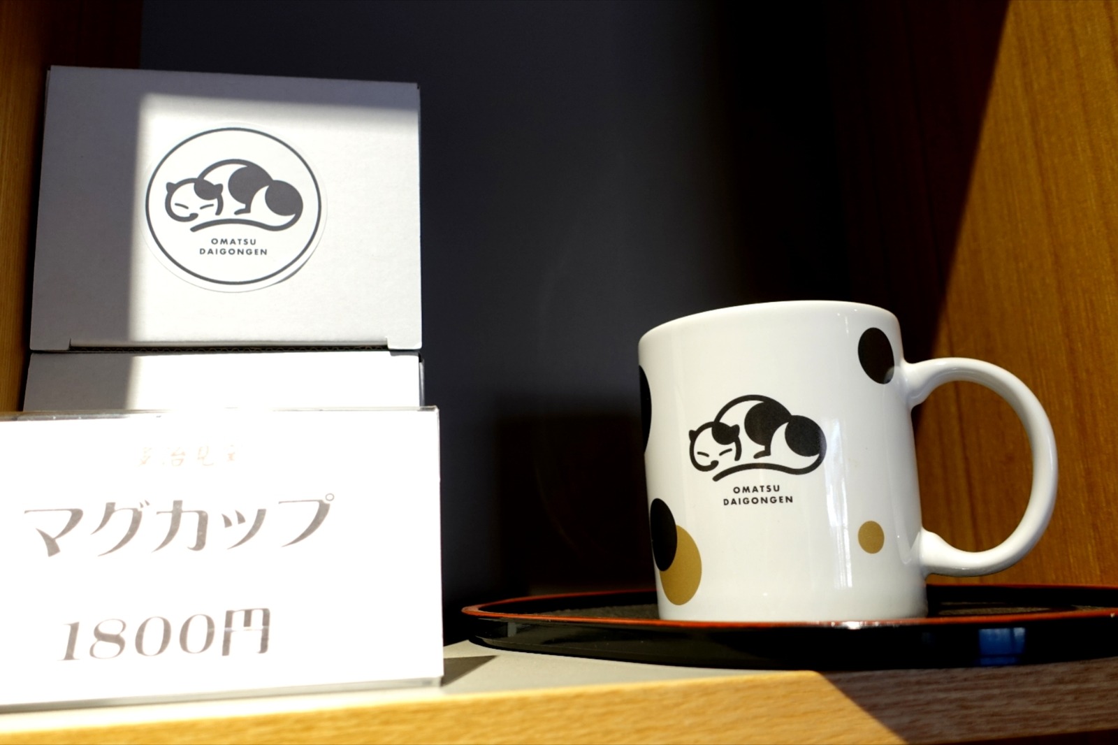 Polish_20260113_161311485