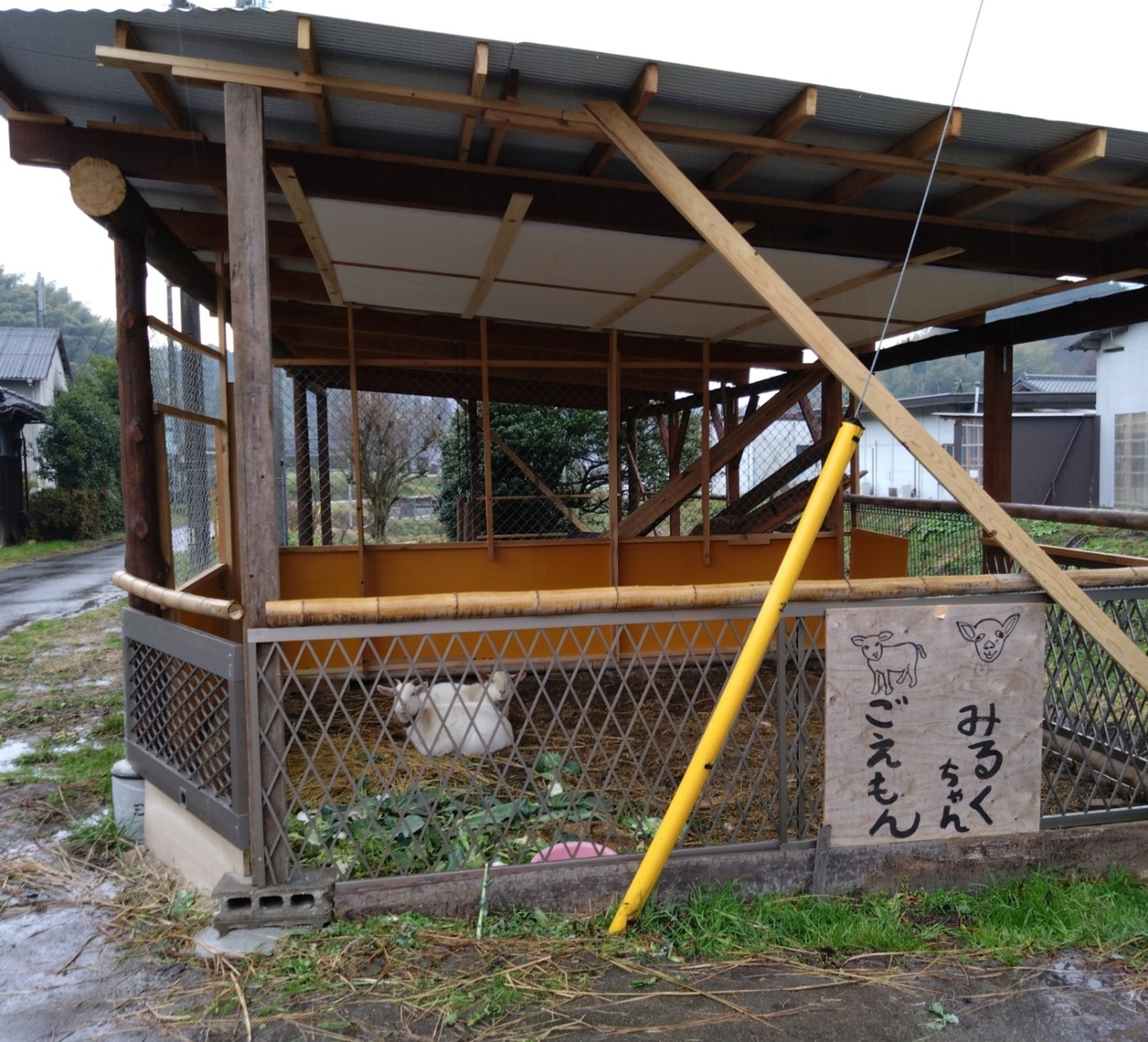 DSC_0487_20221217175427903