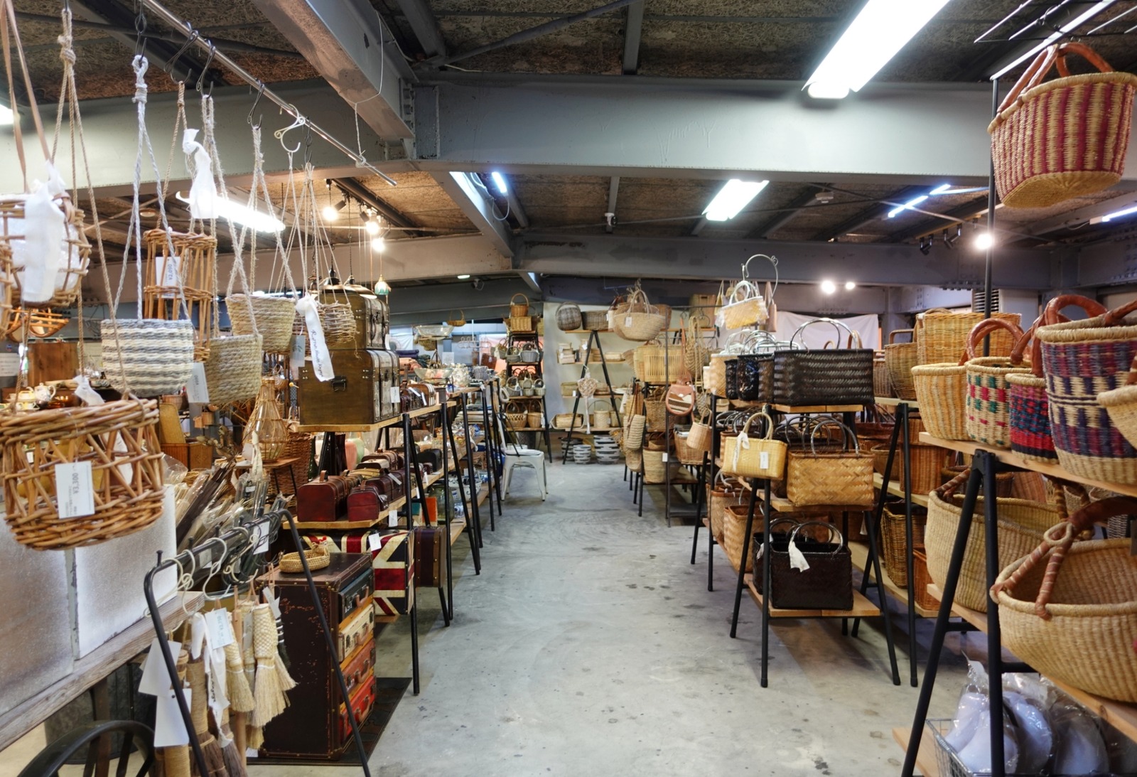 Polish_20260405_103814422