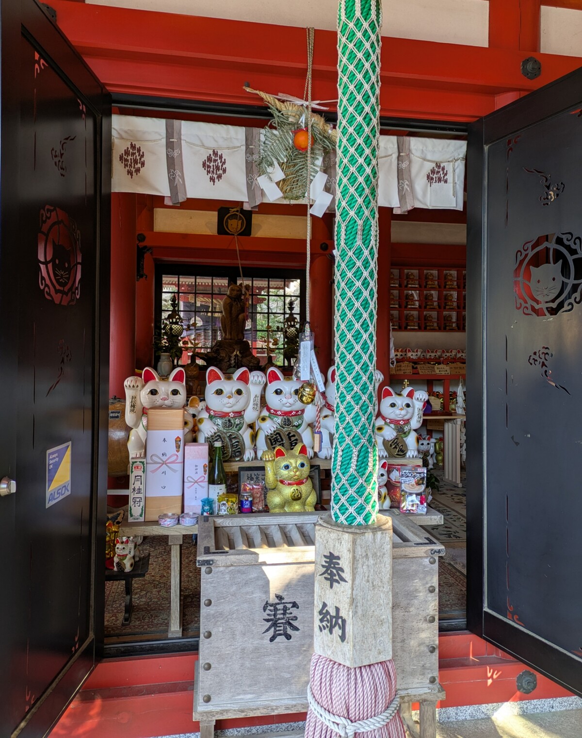 Polish_20260113_162110094