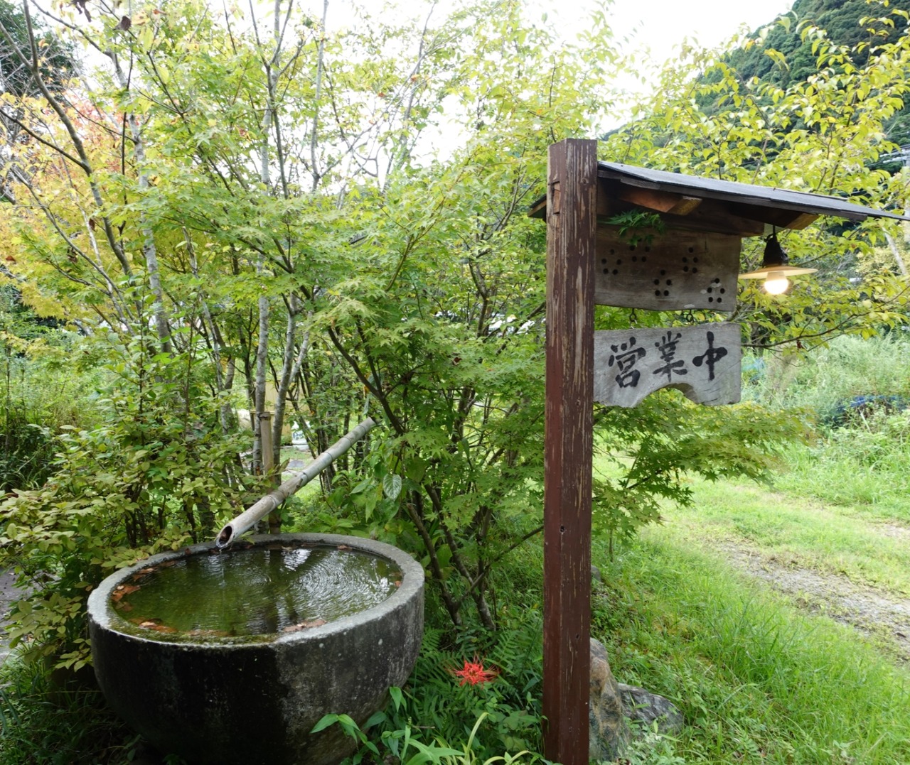 DSC04958