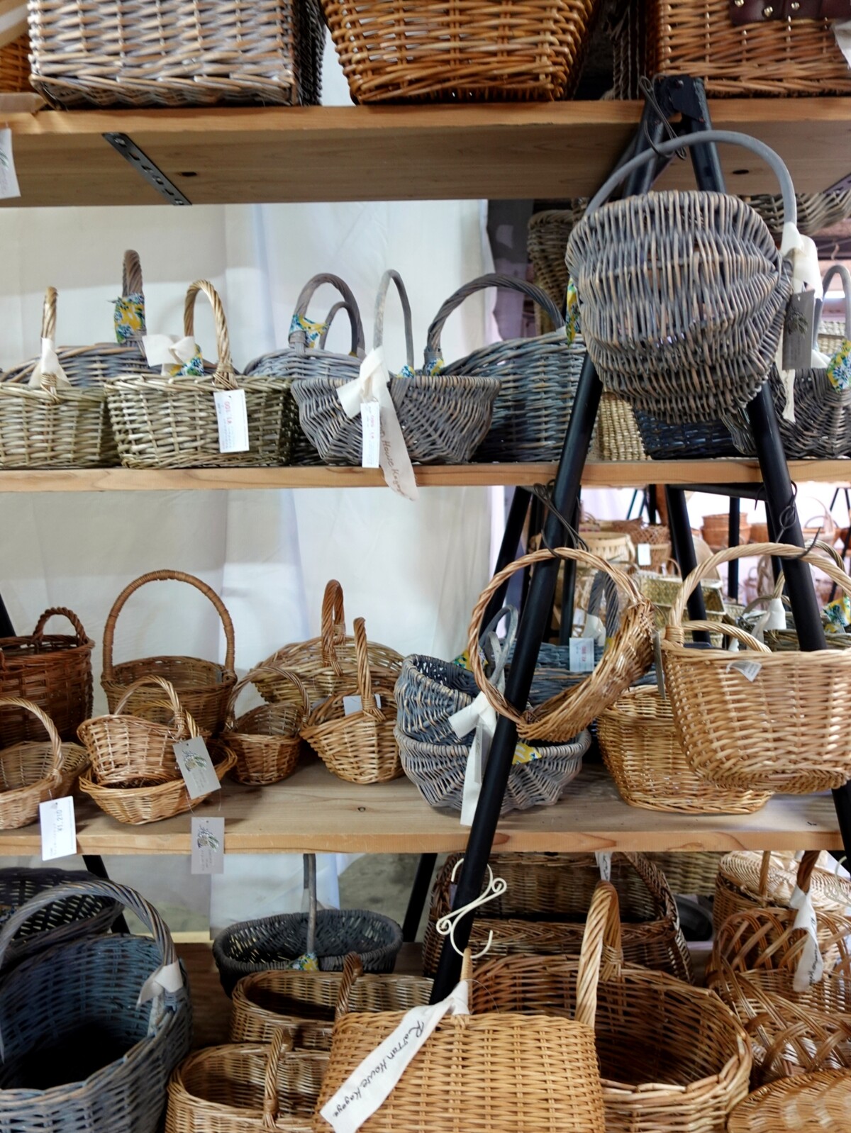 Polish_20260405_104121761