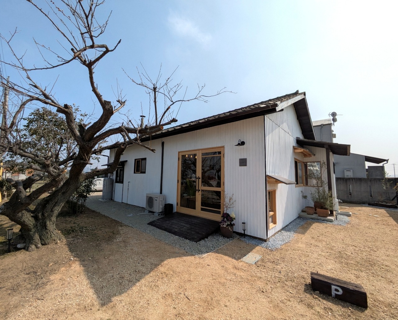PXL_20250301_041932222