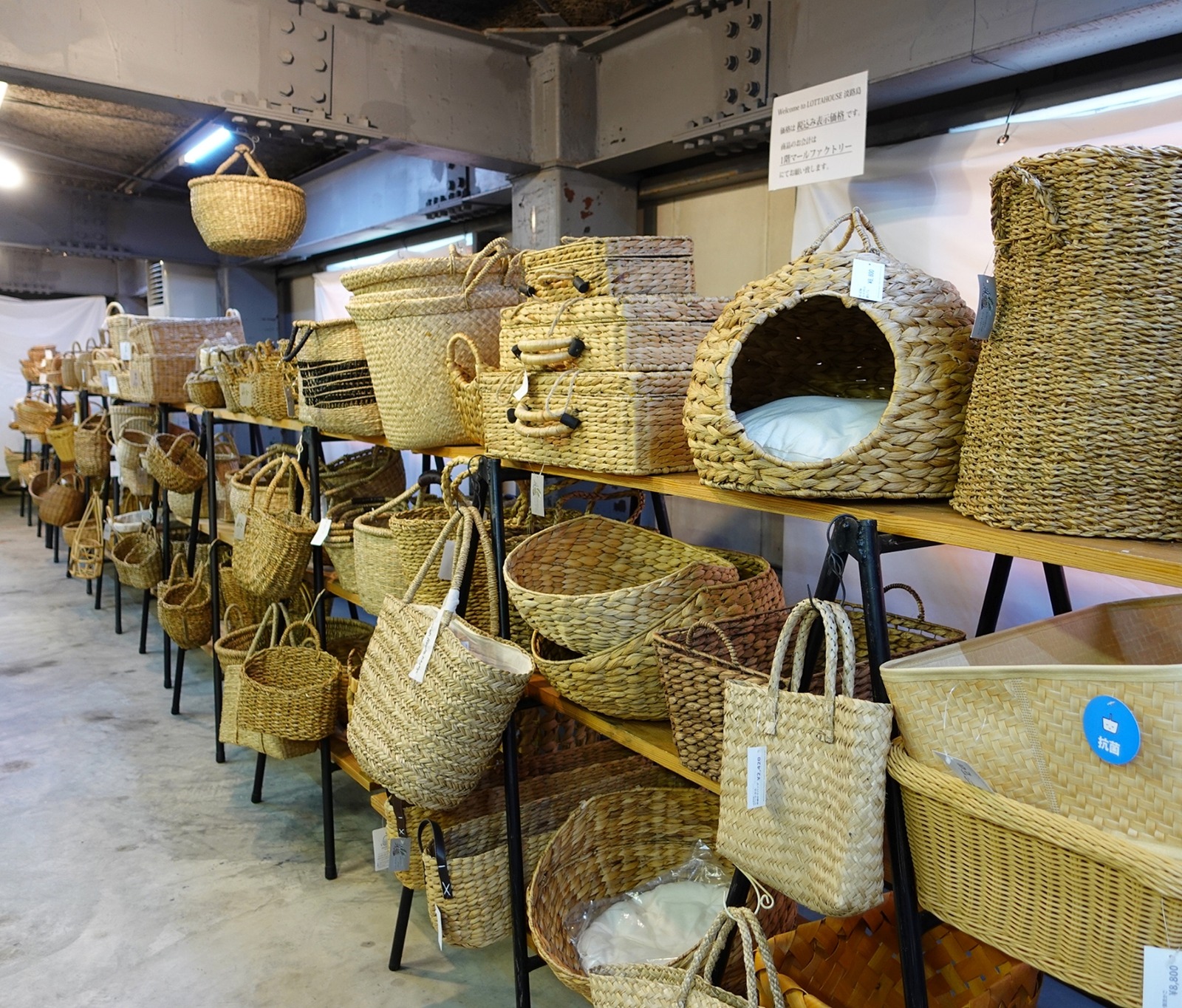 Polish_20260405_103742398