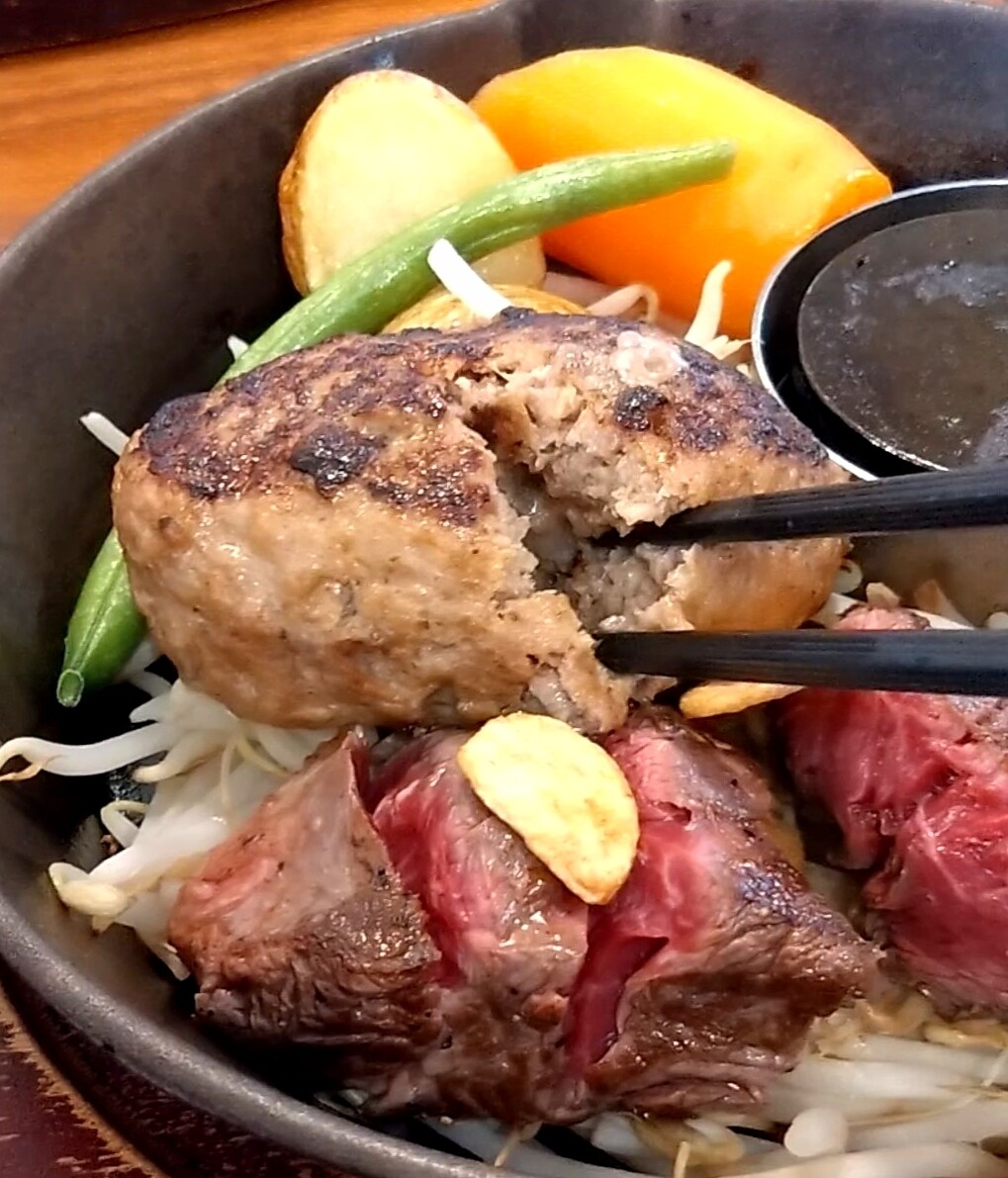 MOV_0528_exported_1996