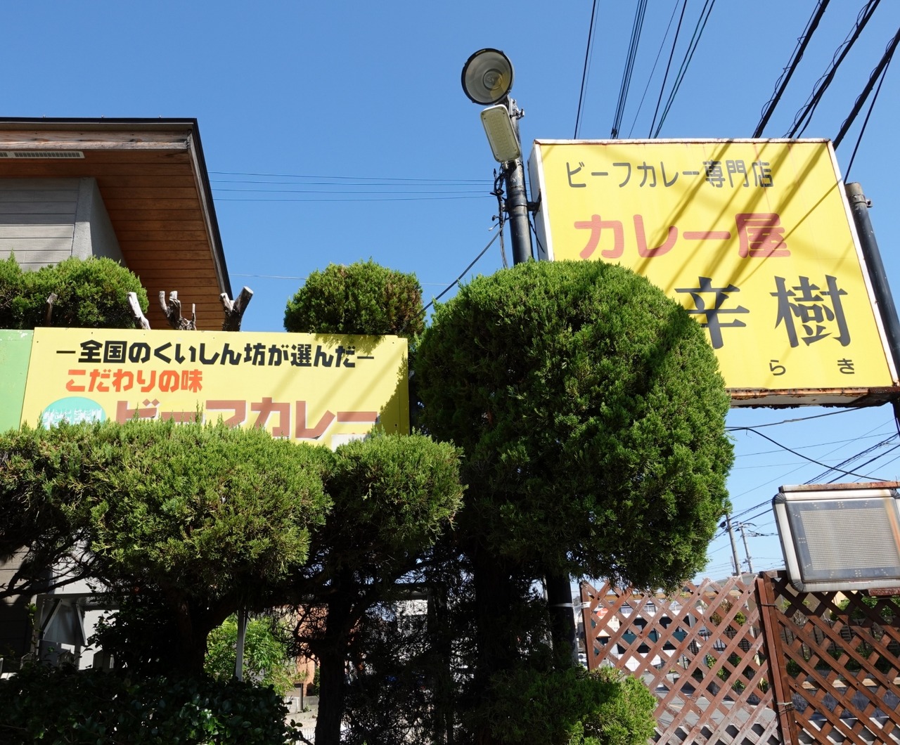 DSC01541