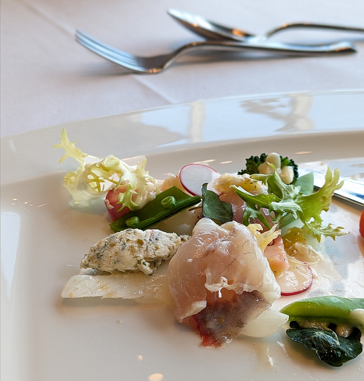 Polish_20260212_151806377