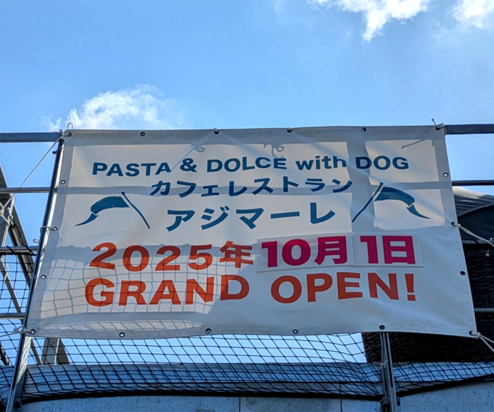 PXL_20251001_013825456