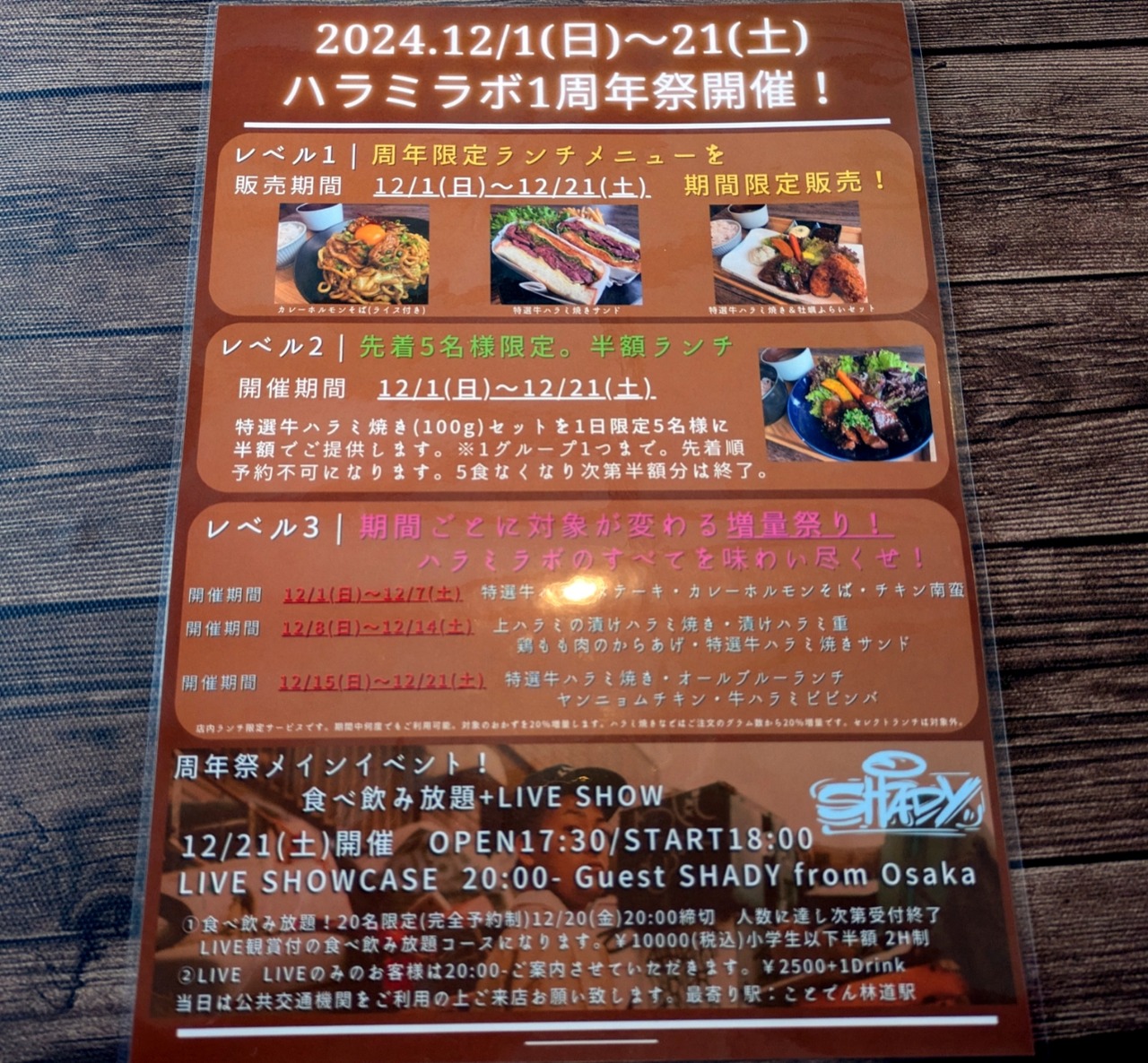 PXL_20241216_041843961