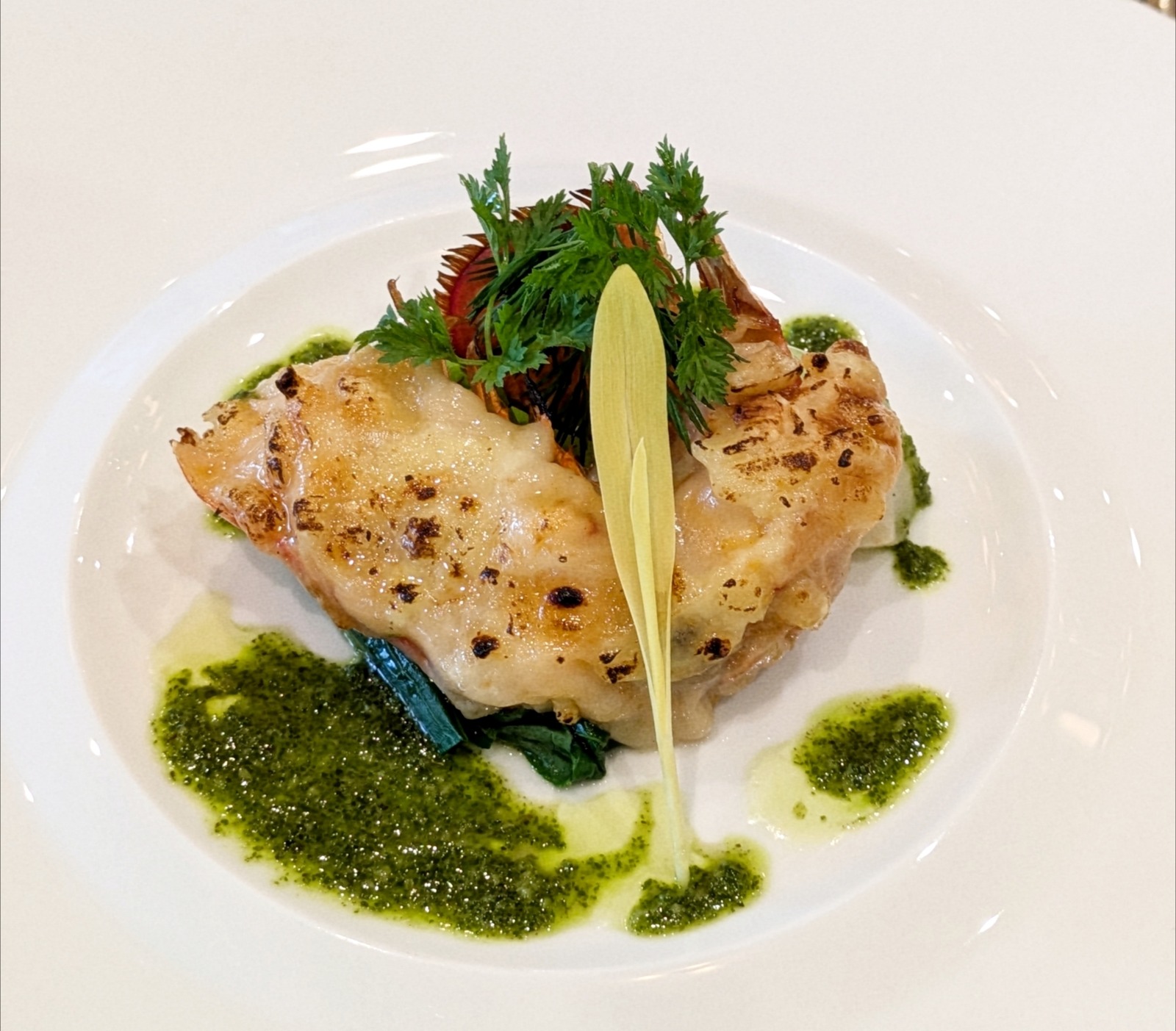 Polish_20251203_170150940