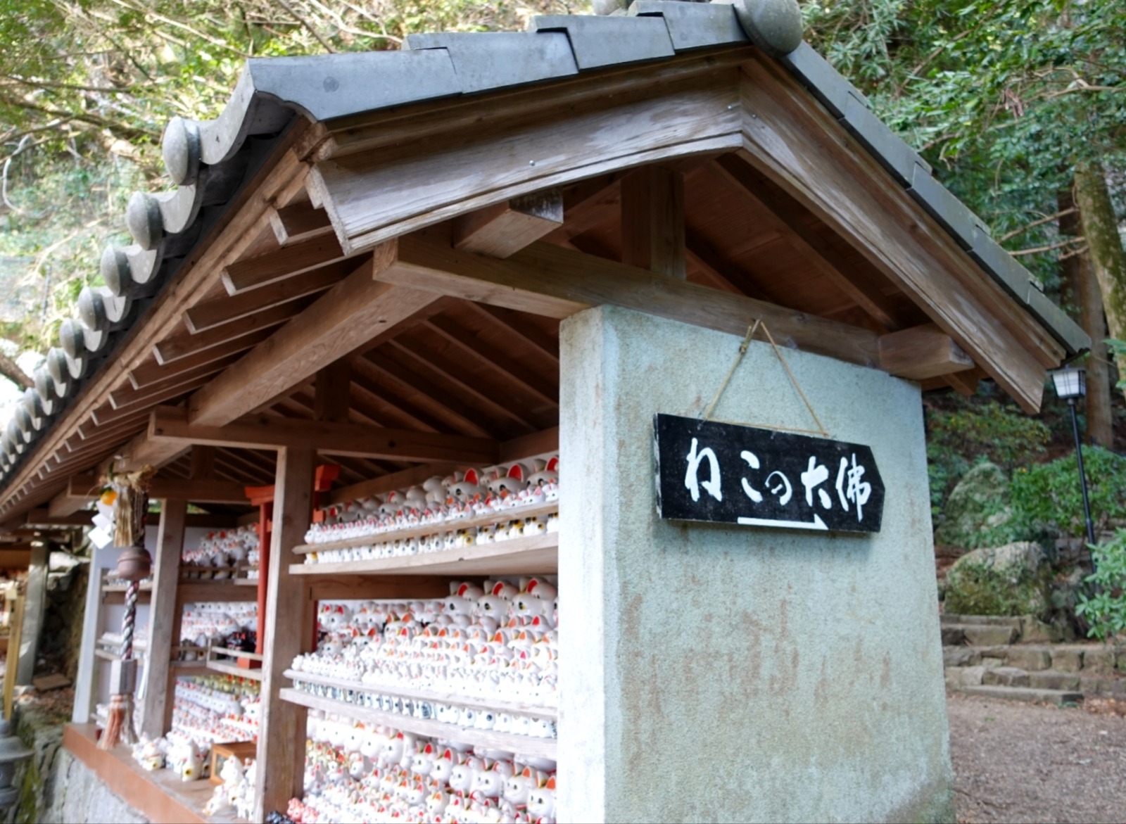 Polish_20260113_160429412