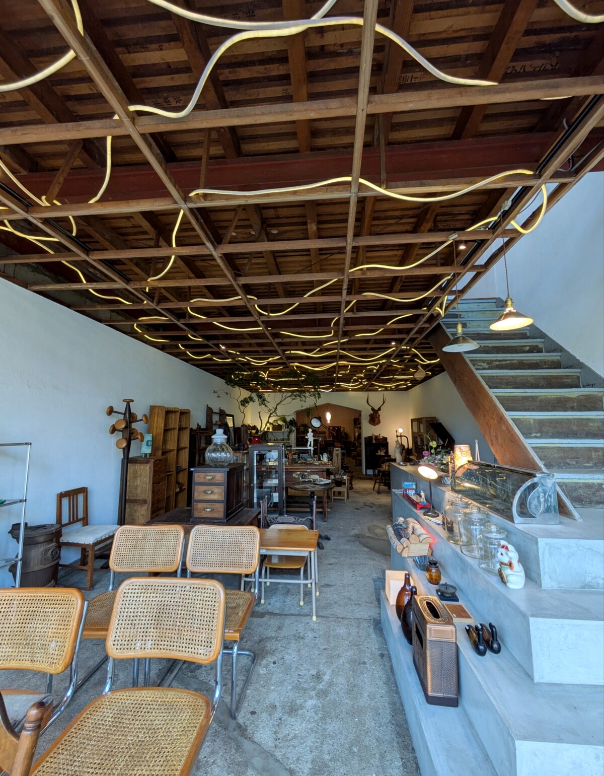 Polish_20251205_135830510