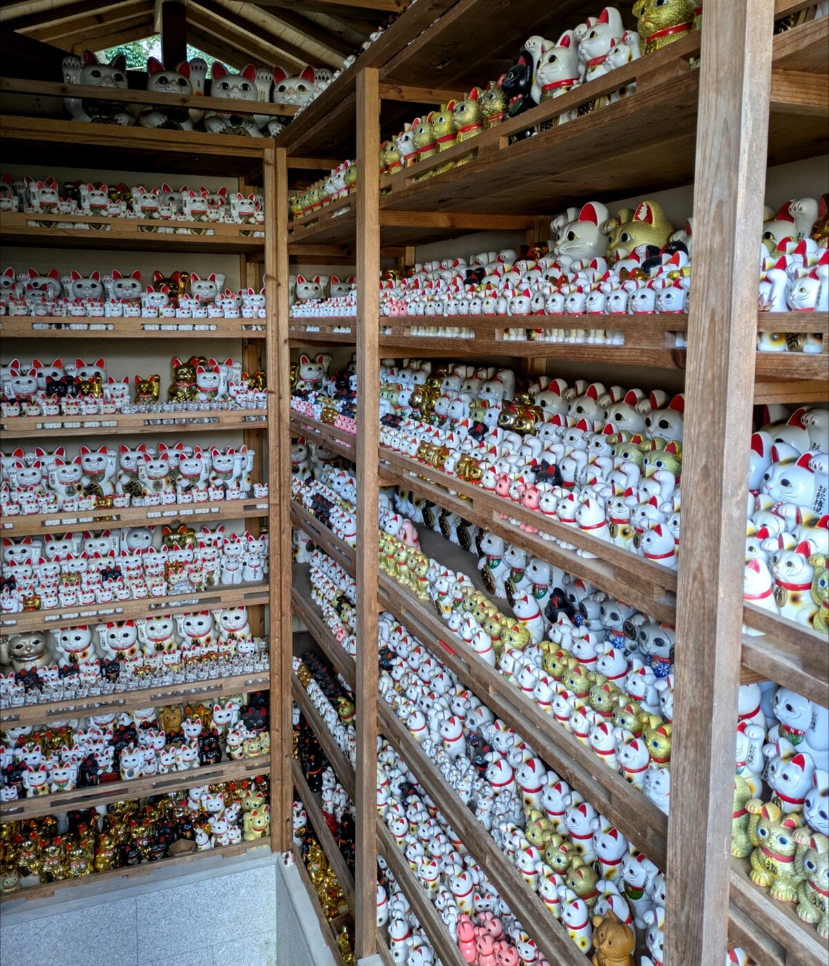 Polish_20260113_162041233