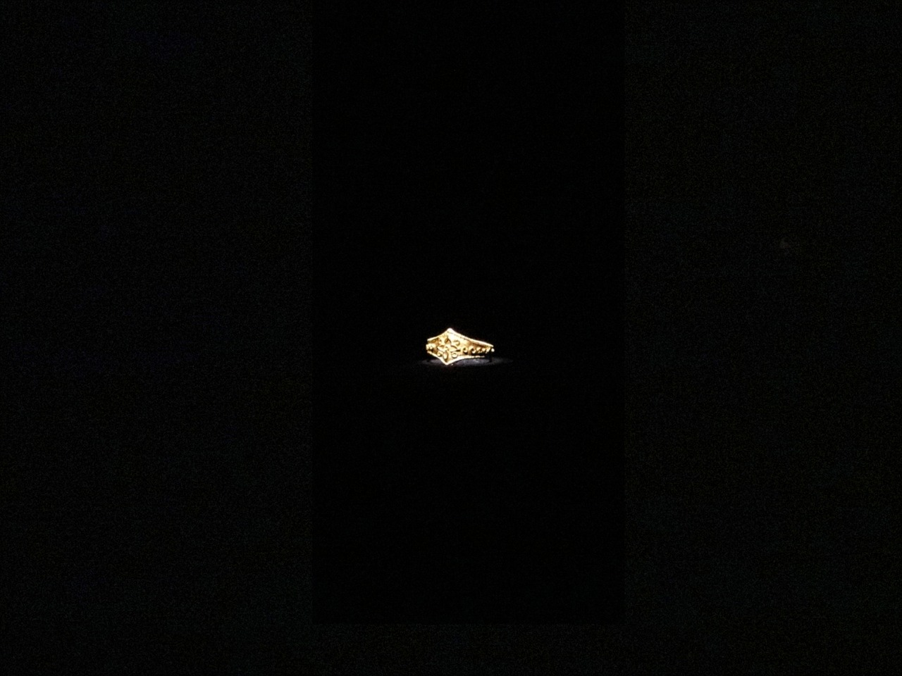 DSC05534_20231028212951442