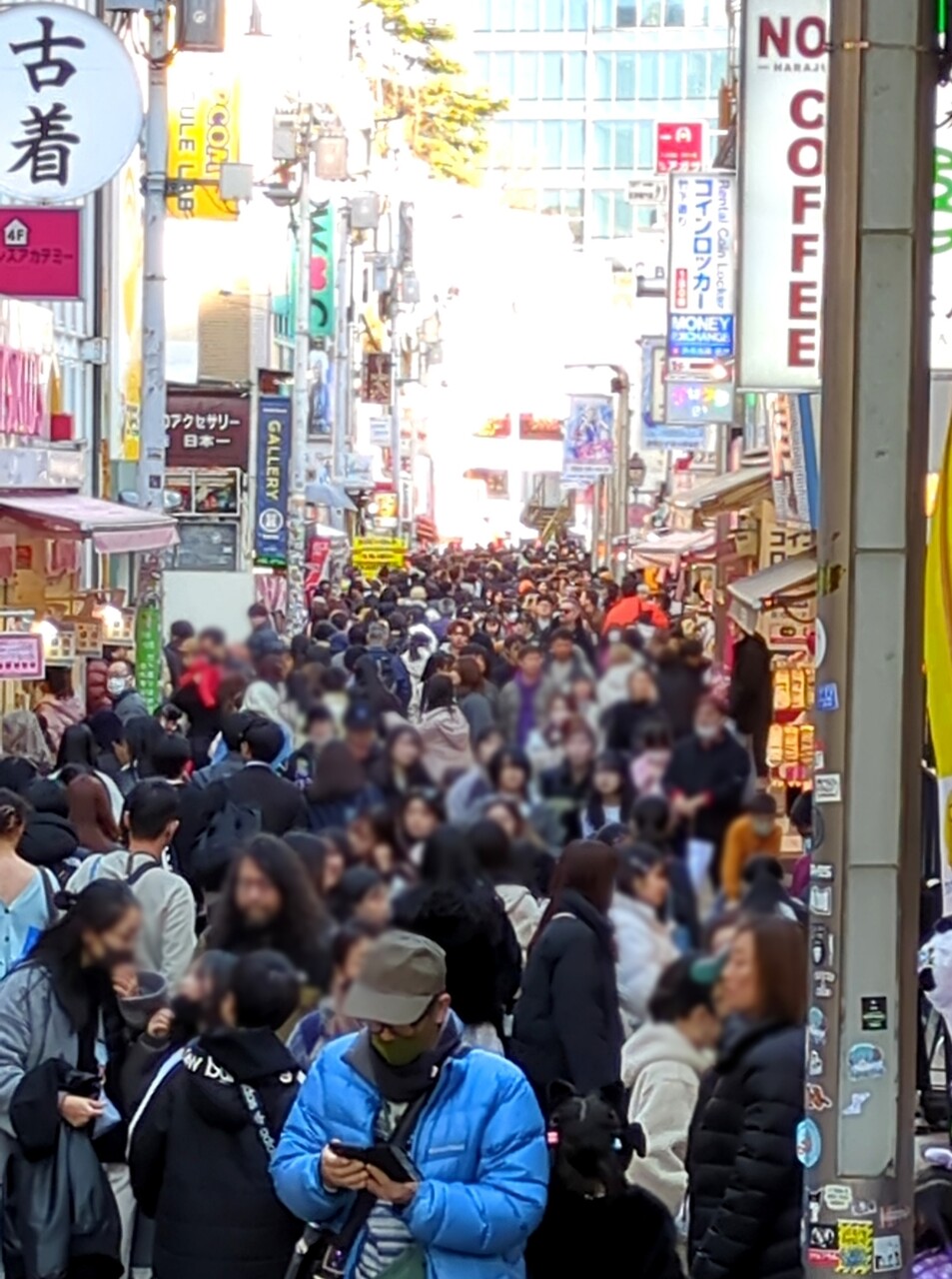 ぼかし丸_20250212_134245