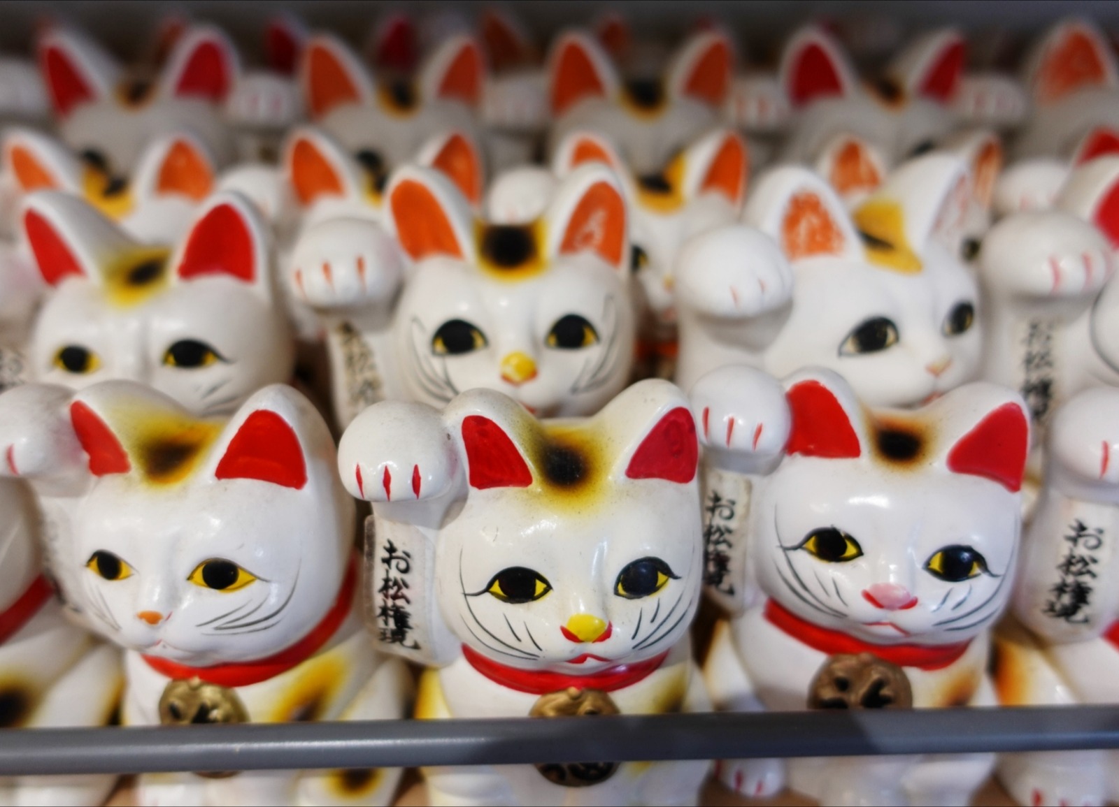 Polish_20260113_160019506