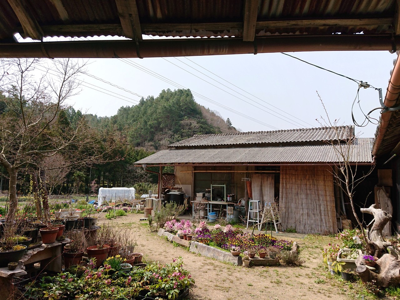 のうさぎカフェ 東かがわ市 マユリ ナの暇つぶし 香川と福岡 食べ歩き のうさぎカフェ 東かがわ市 マユリ ナの暇つぶし 香川と福岡 食べ歩き