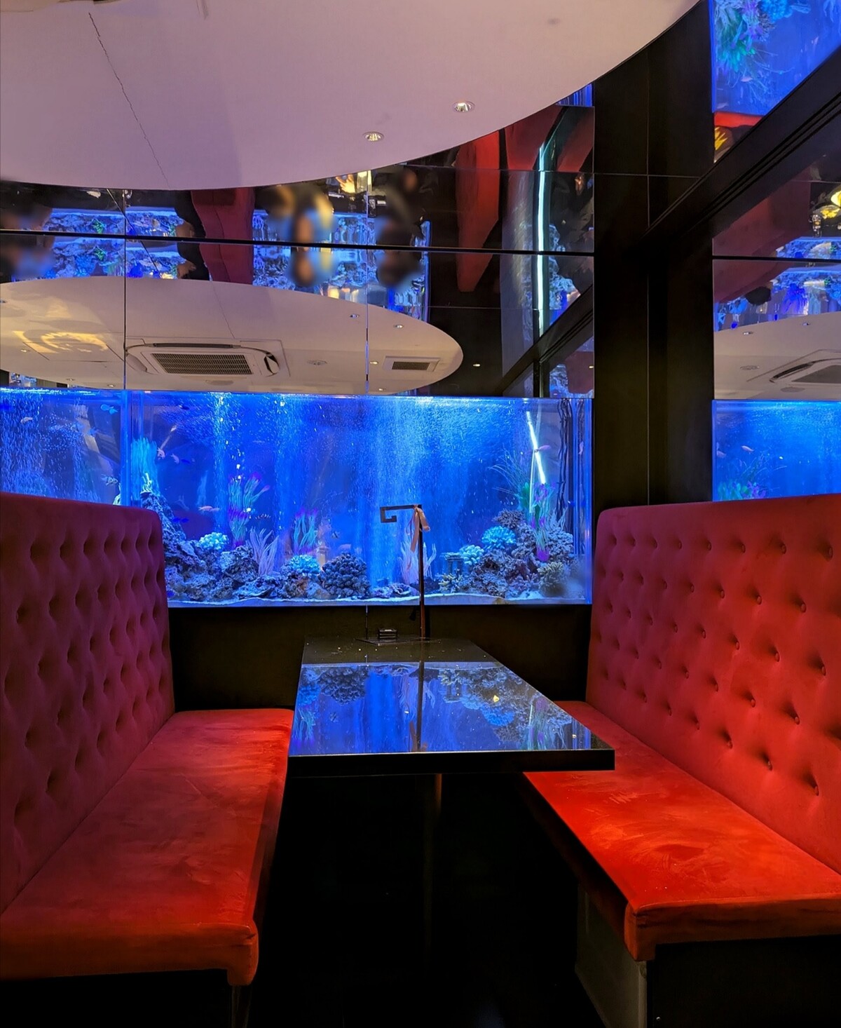 Polish_20260315_212818974~2