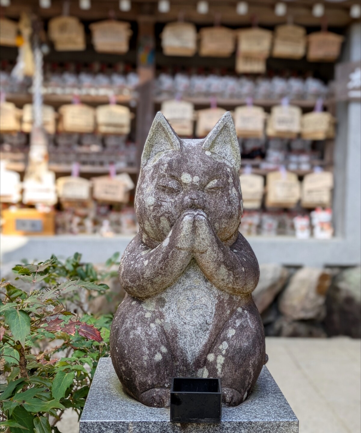 Polish_20260113_162455979