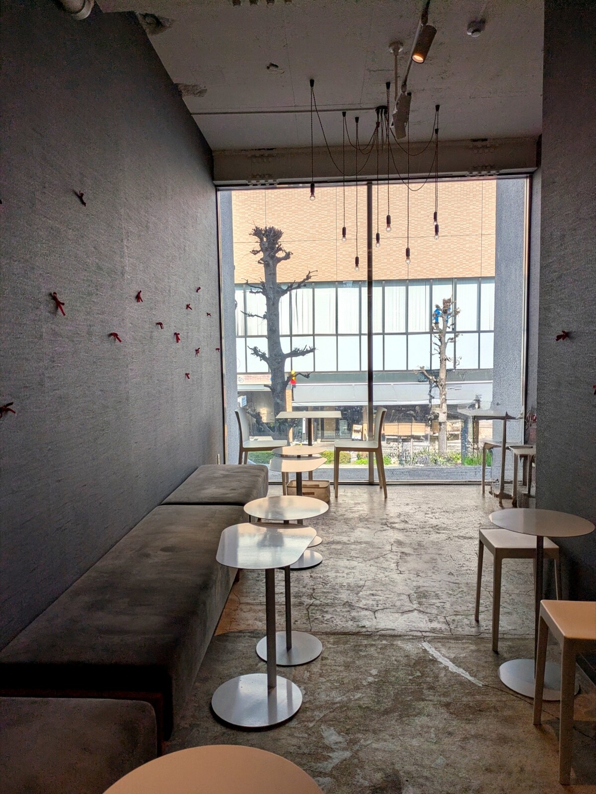 Polish_20251208_183136922