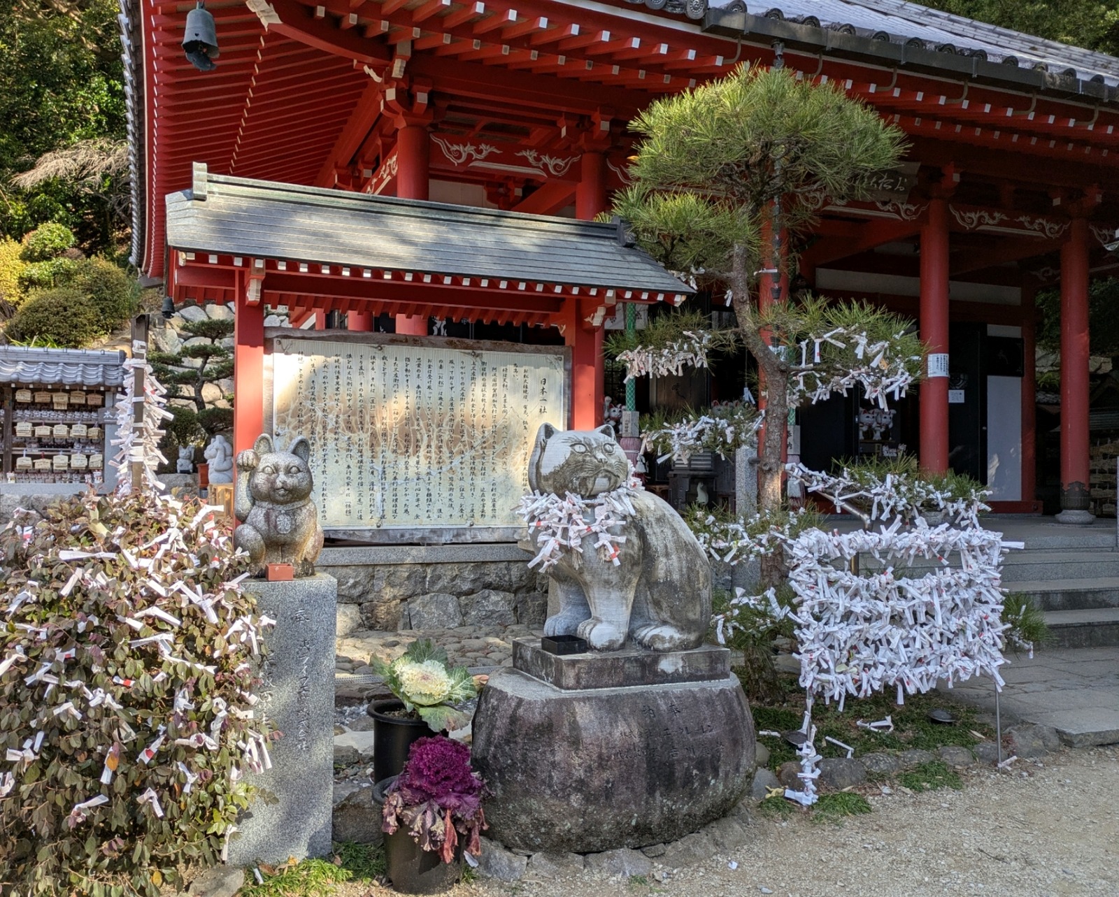 Polish_20260113_161714817