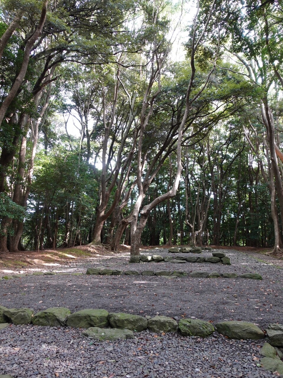 DSC05467