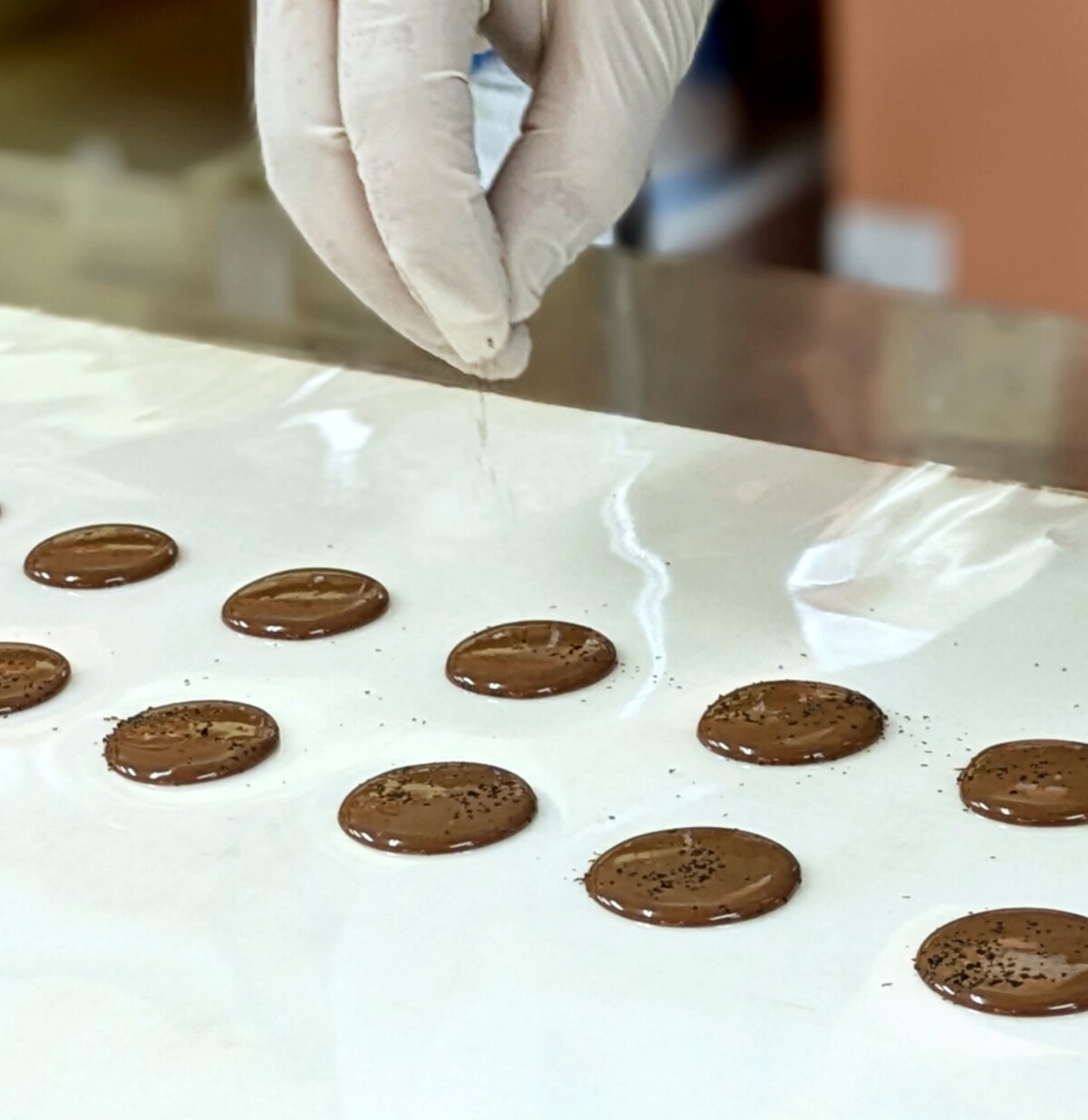 Polish_20260202_200448209