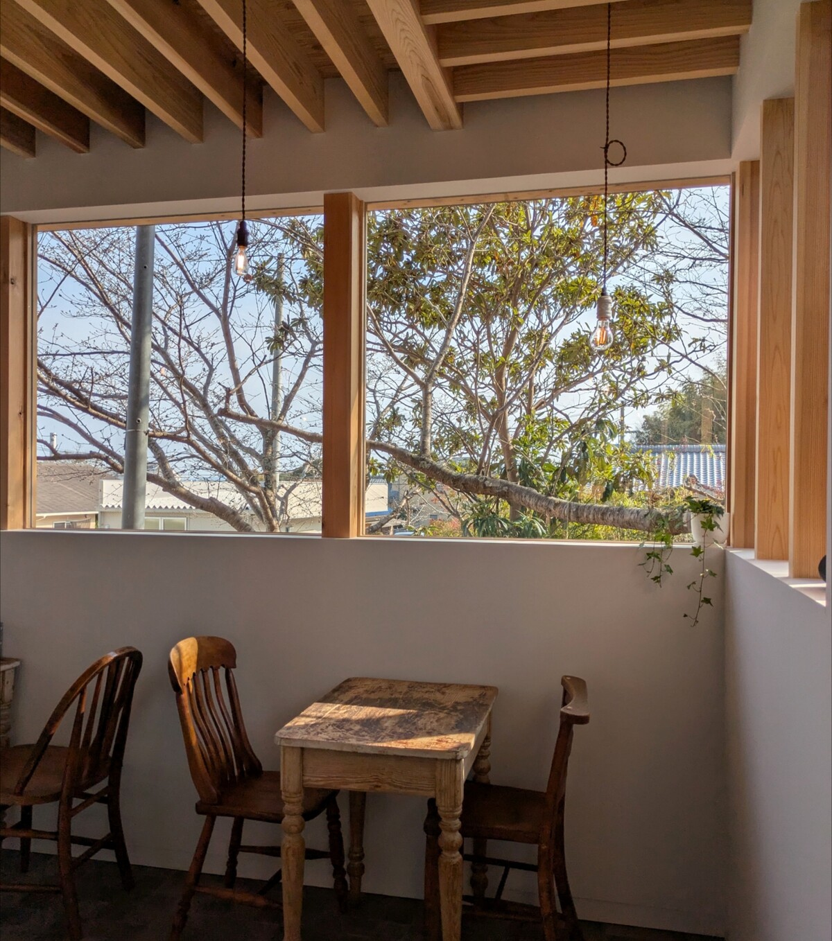 Polish_20260328_105411690