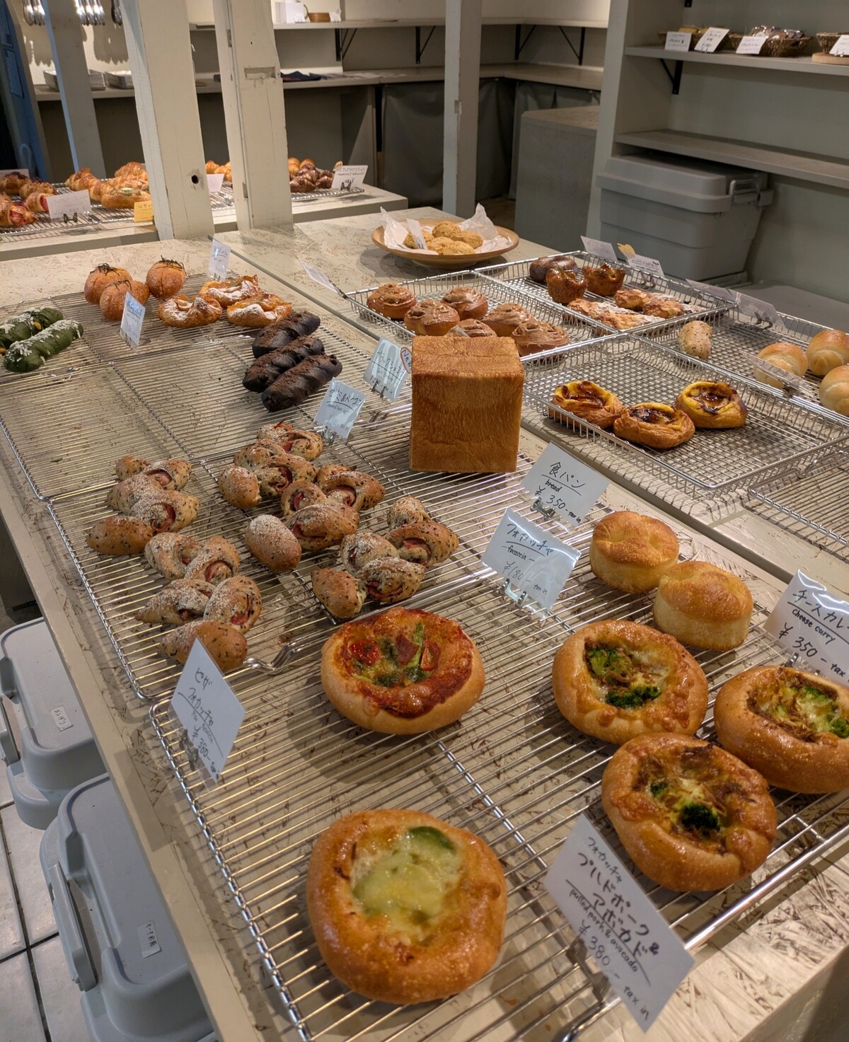 PXL_20251020_045041654