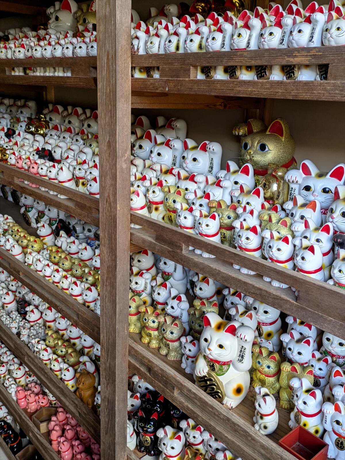 Polish_20260113_163343967