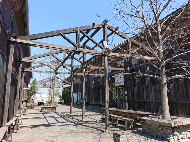 DSC_6671_20200325133849117