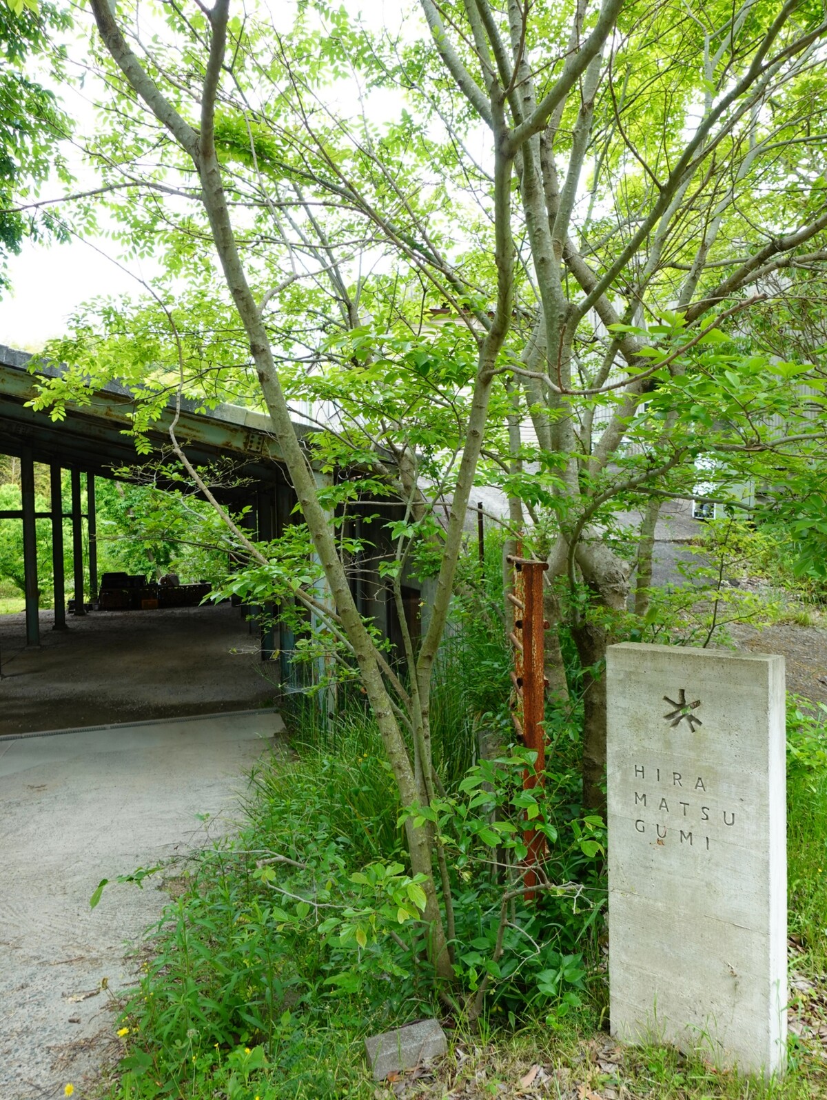 Polish_20260509_122134413