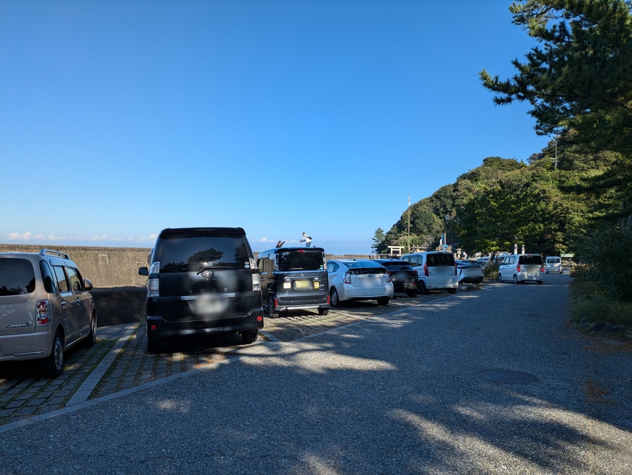 ぼかし丸_20241113_045830