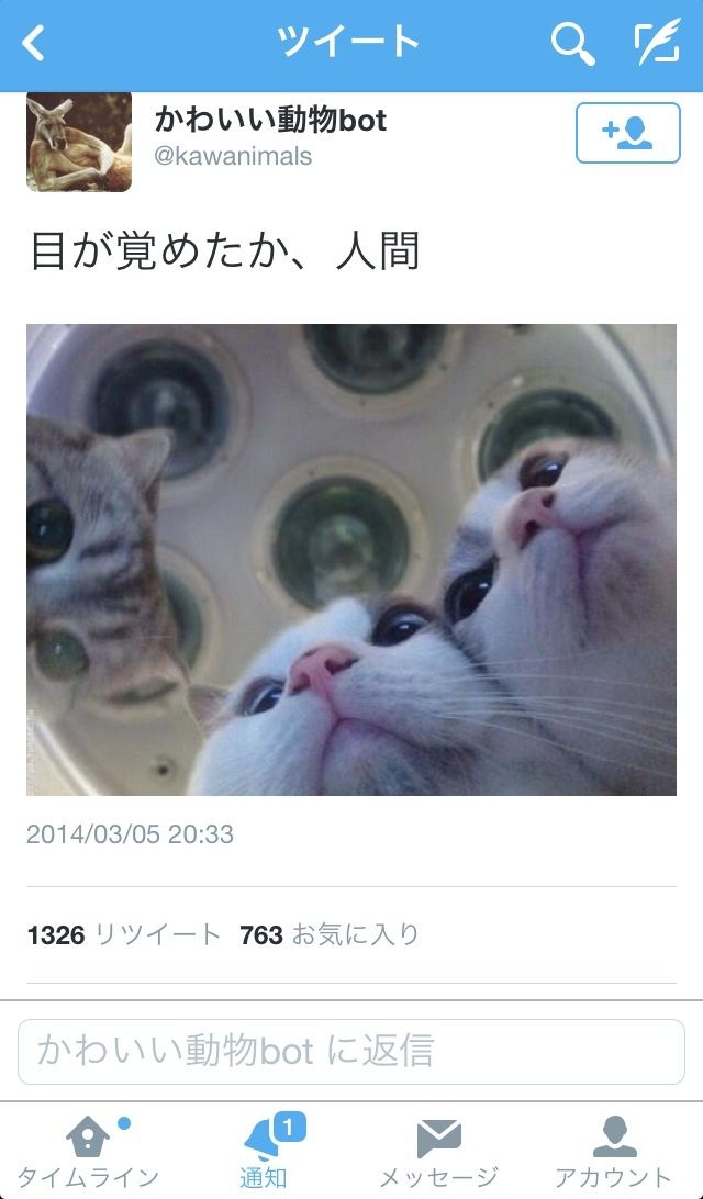 人間を実験台にする我が子 蓮実クレア オフシャルブログ