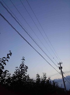 01_幸水の収穫20140909_01