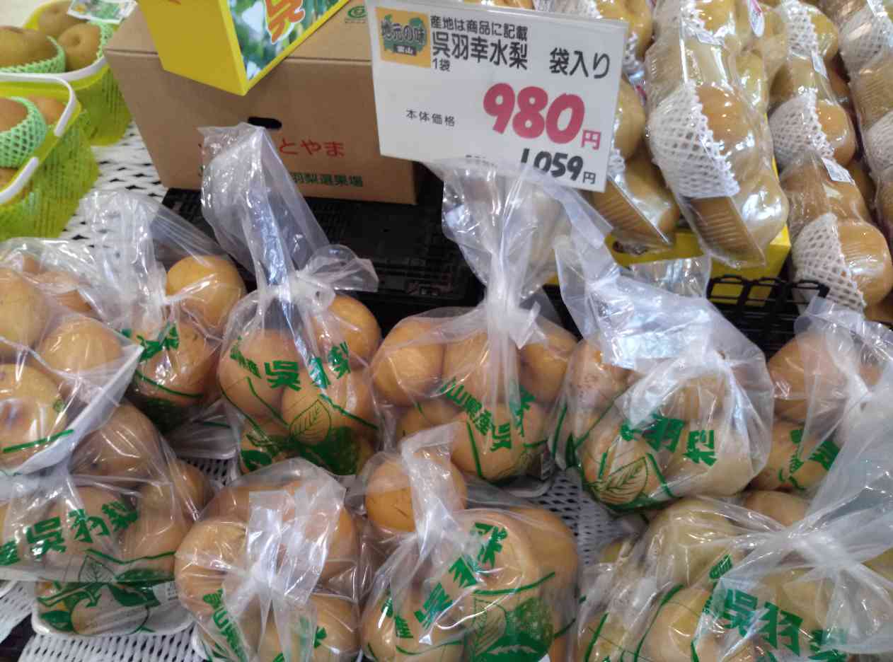 呉羽梨 幸水の収穫 02 呉羽梨ドットコム 幸水 豊水 新高 梨園 梨農家からの甘くて新鮮な梨 笑顔の食卓にお届けしています 呉羽梨 幸水の収穫 02 呉羽梨ドットコム 幸水 豊水 新高 梨園 梨農家からの甘くて新鮮な梨 笑顔の食卓にお届けしています
