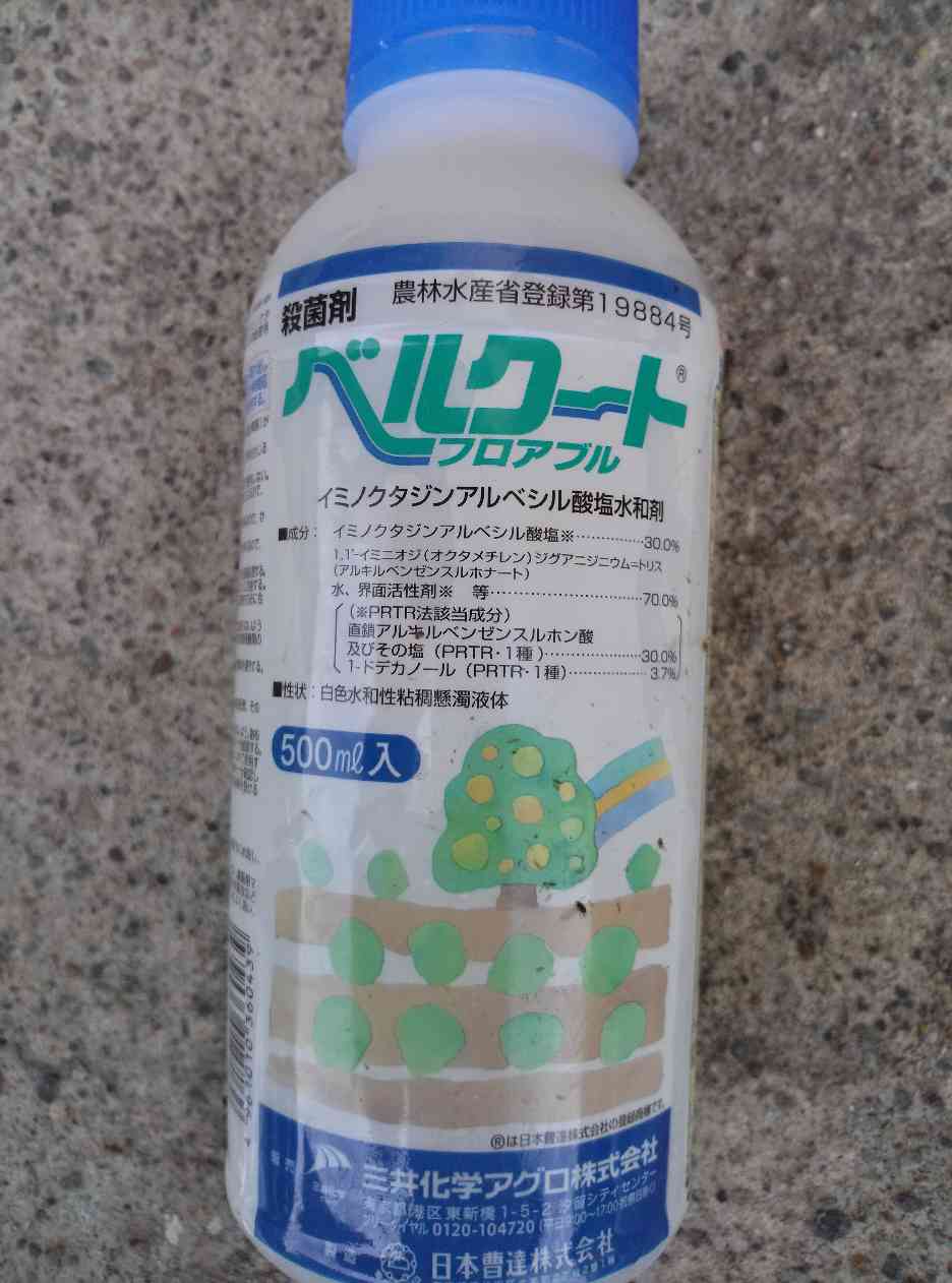 市場 殺菌剤 農薬 500g 野菜 水和剤 果物 ベルクート 市場 殺菌剤 農薬 500g 野菜 水和剤 果物 ベルクート