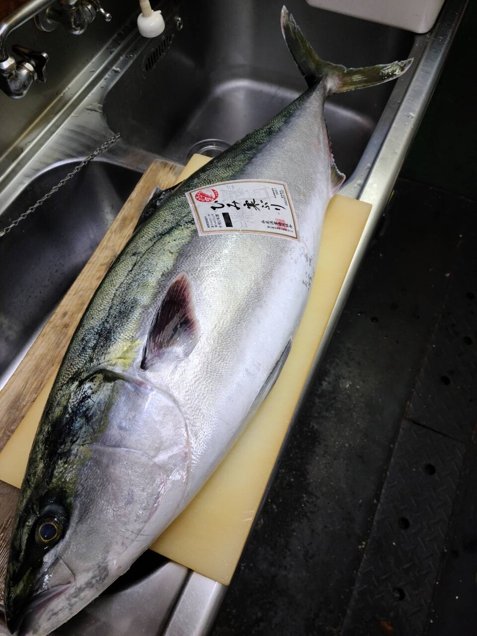 氷見の天然鰤 再入荷しました 暮れ六 氷見の天然鰤 再入荷しました 暮れ六