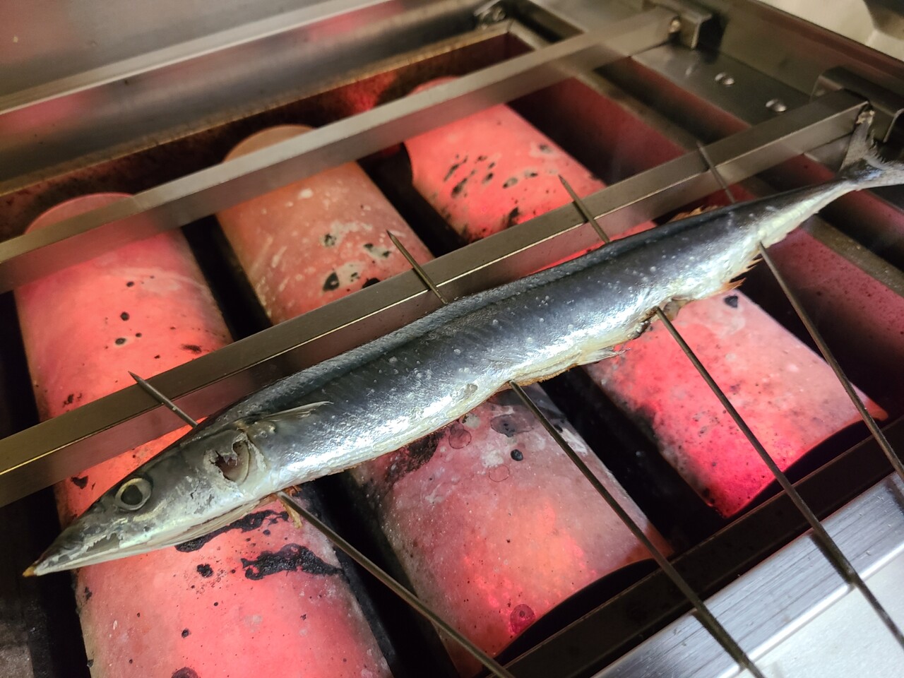 新さんま 始めました 暮れ六