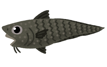 fish_ibarahige