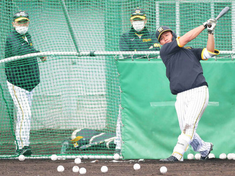 【朗報】森下翔太78スイング15発　バックスクリーン弾も4発