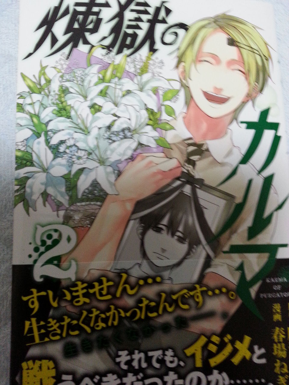 2015年3月17日 購読漫画 録読 漫 2015年3月17日 購読漫画 録読 漫