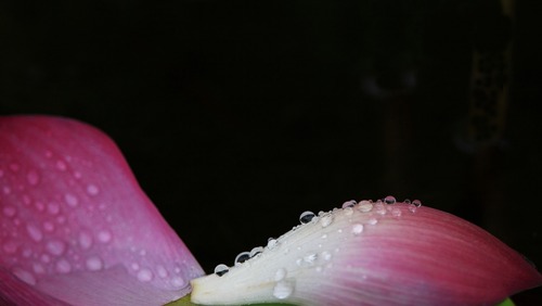 写真00001