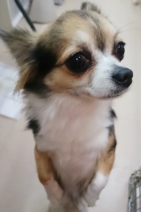 越石くう