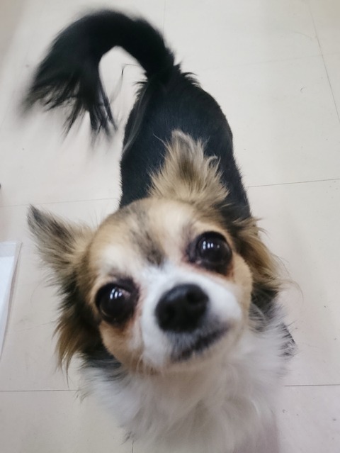 越石くう2