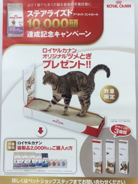 ロイかな