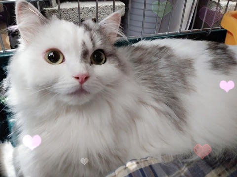 佐野サンク2