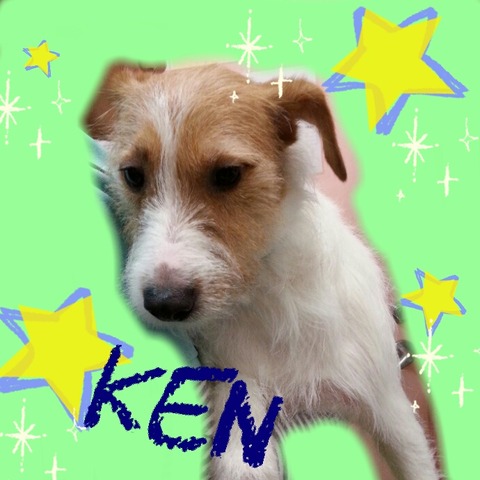 見角KEN